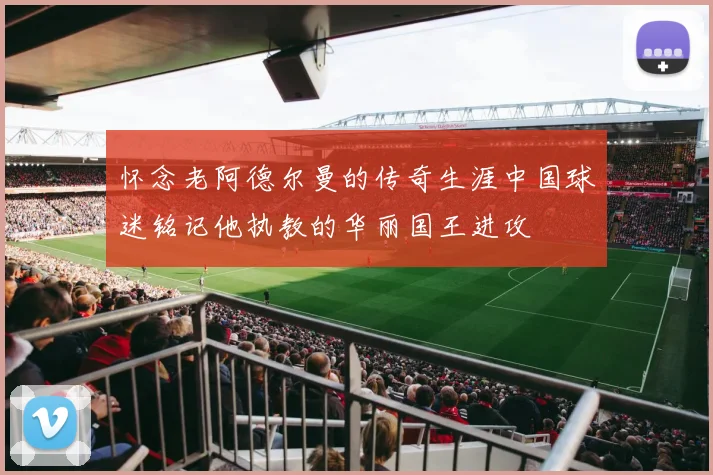 怀念老阿德尔曼的传奇生涯中国球迷铭记他执教的华丽国王进攻